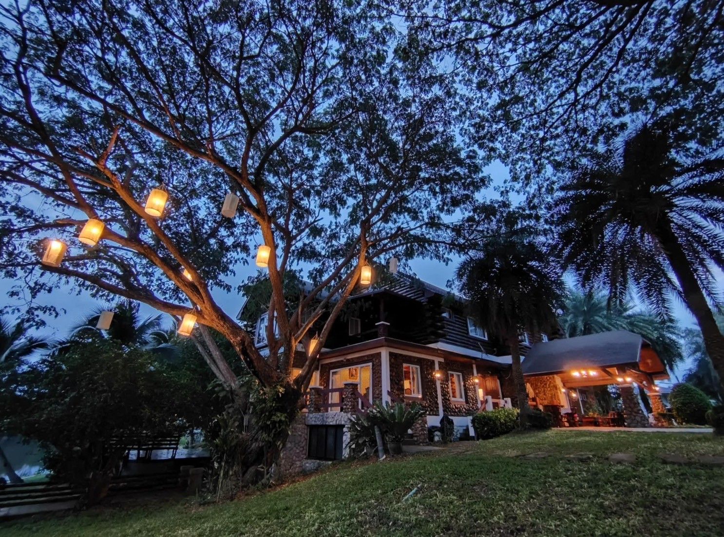 Cabin Pool Villa exterior at dusk with lanterns in a large tree, Bonanza Khao Yai.
