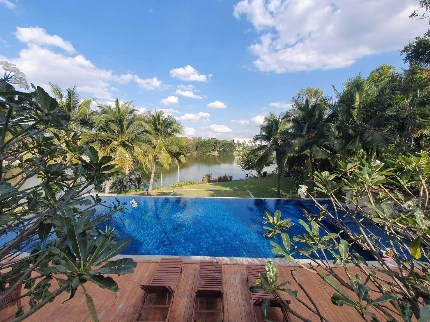 Infinity pool overlooking the lake surrounded by tropical palms.