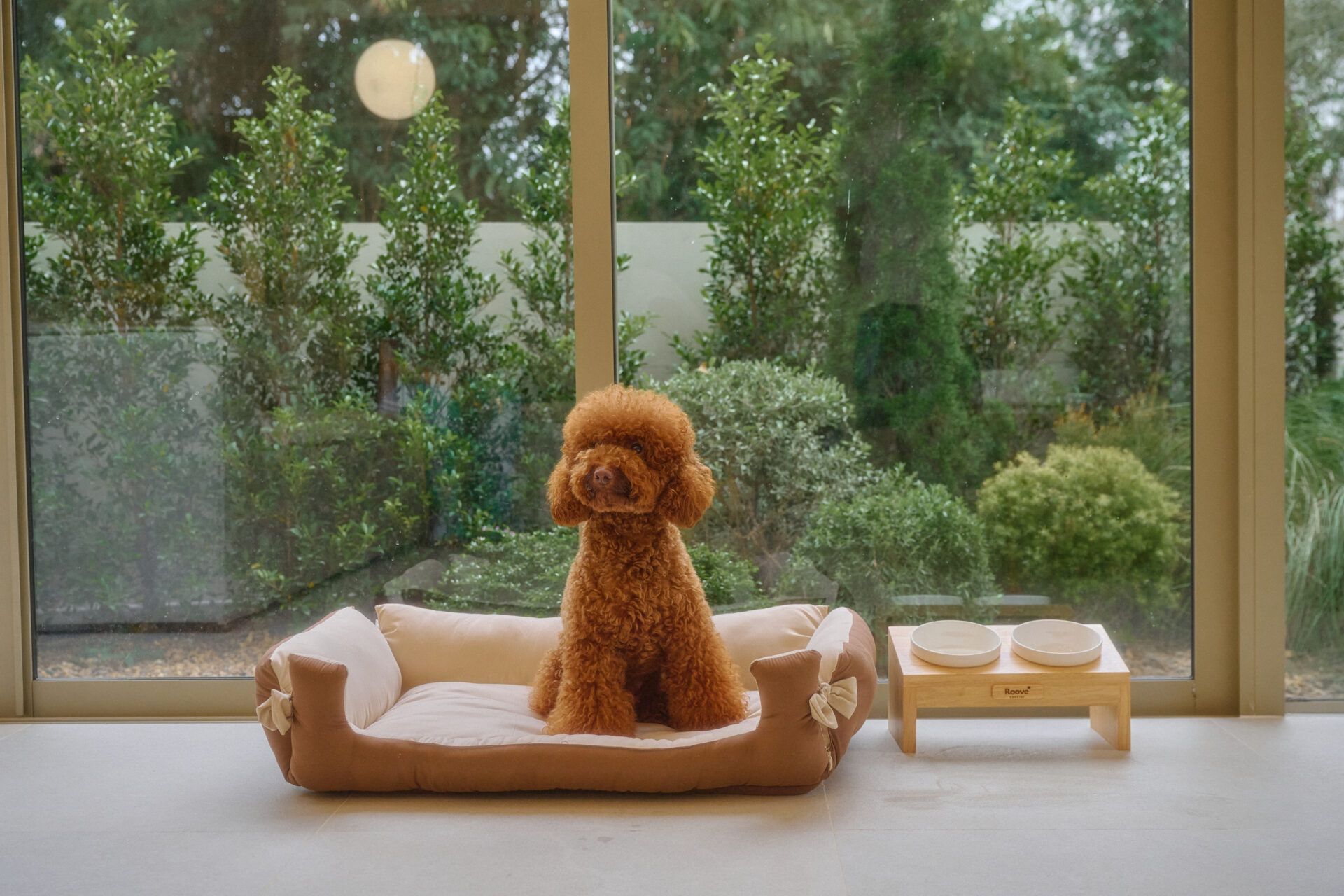 Dog sitting on pet bed at Roove V Pool Villa near Khaoyai National Park. View of garden through window.